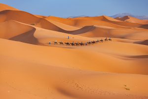erg chebbi