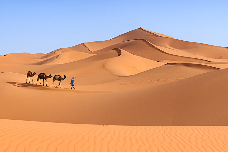 Excursão de 15 dias pelo Marrocos saindo de Casablanca 3 15 Days Morocco Tour from Casablanca Merzouga