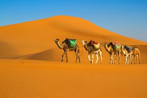 Tour di 6 giorni nel deserto del Sahara da Marrakech 3 Erg chebbi Desert