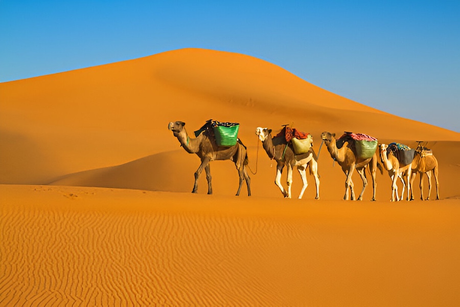 Los mejores tours por Marruecos