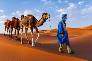 Tour di 7 giorni da Marrakech a Tangeri 3 Camel ride Merzouga