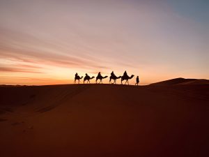 Tour di 5 giorni da Marrakech al deserto di Merzouga 3 5 Days desert tour from Marrakech erg chebbi
