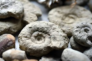 Morocco Fossils and Mineral Tours