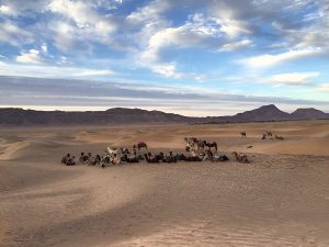 马拉喀什至扎戈拉沙漠之旅 1 Zagora Desert