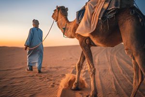 8 giorni da Marrakech al deserto e al sud del Marocco 2 Camel trekking, merzouga desert