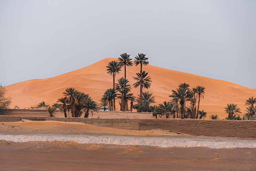 Sahara Desert Merzouga Travel Guide