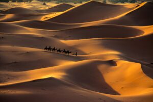 8 Days from Marrakech to the Desert
