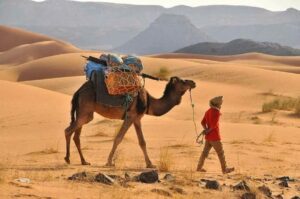 camel trekking camps morocco